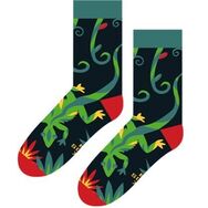 Box dla Podróżnika