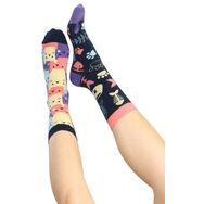 Box Ukochane Zwierzaki