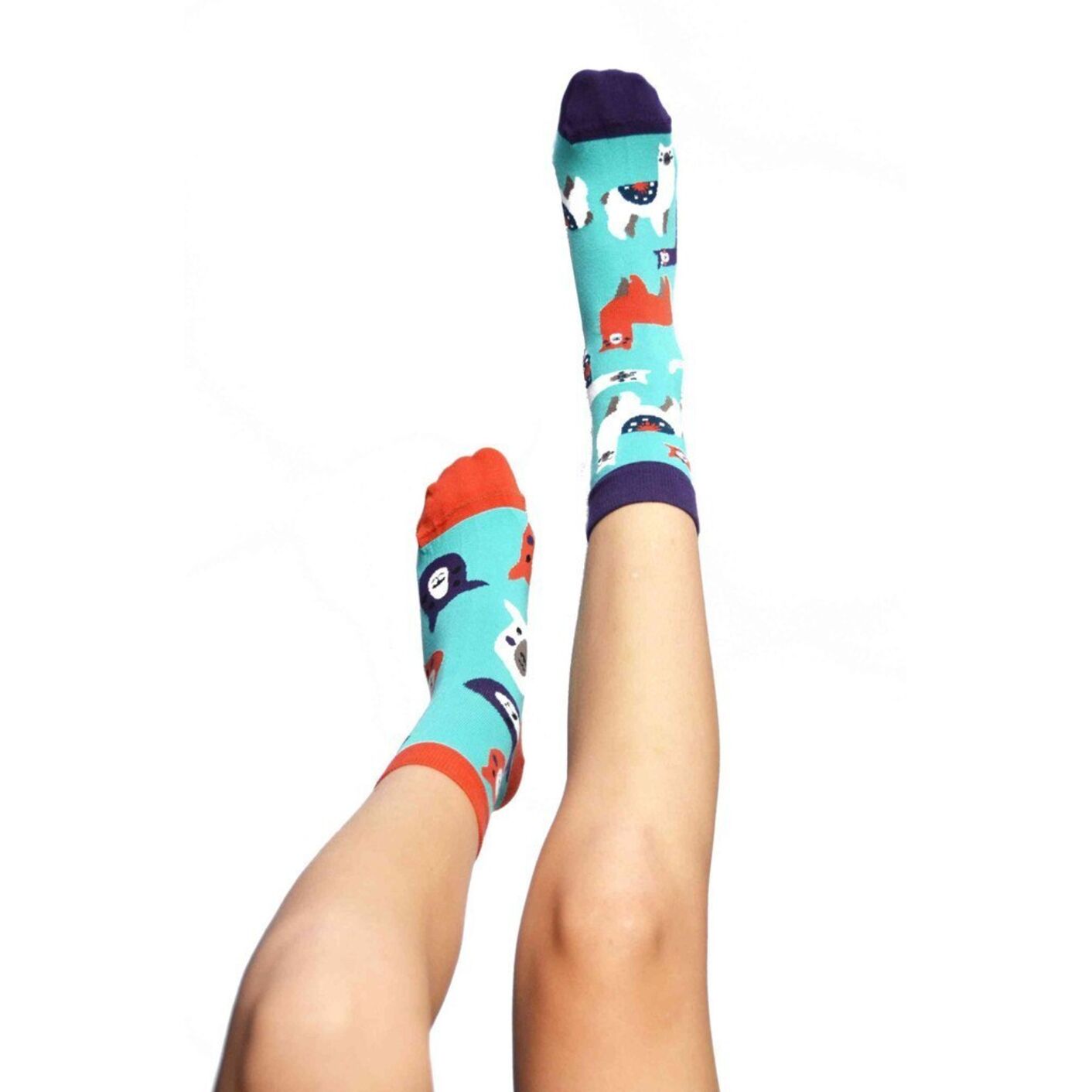 Box Ukochane Zwierzaki