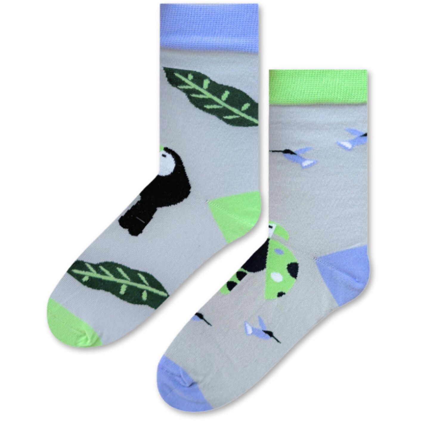 Skarpetki w Papugi i Tukany