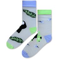 Skarpetki w Papugi i Tukany