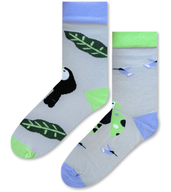 Skarpetki w Papugi i Tukany