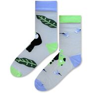 Skarpetki w Papugi i Tukany