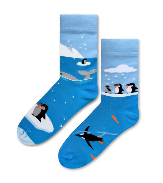 Skarpetki w Pingwiny