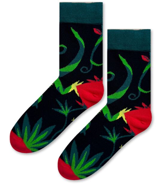 Skarpetki Ziemia - Dżungla