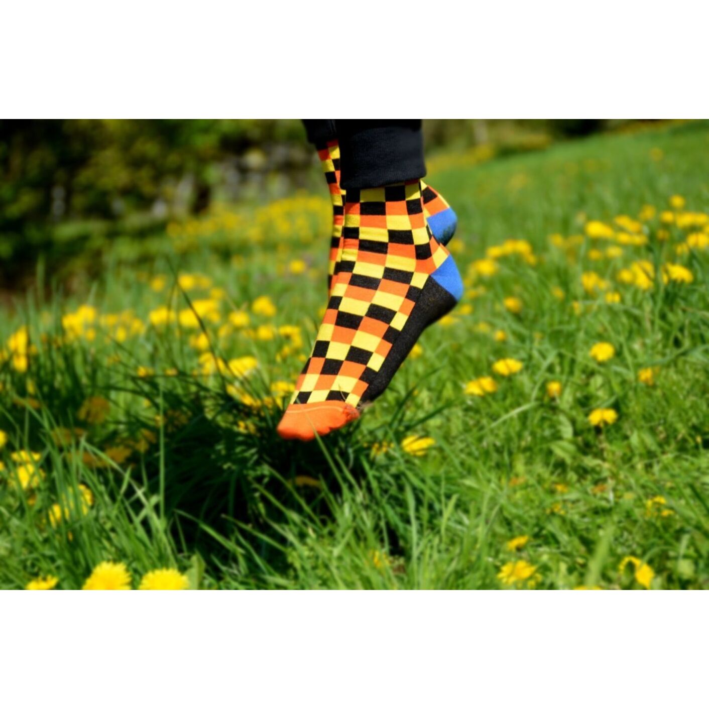 Skarpety Kratka Pomarańcz
