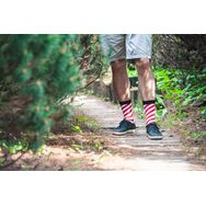 Skarpety Motyw Laski Cukrowej