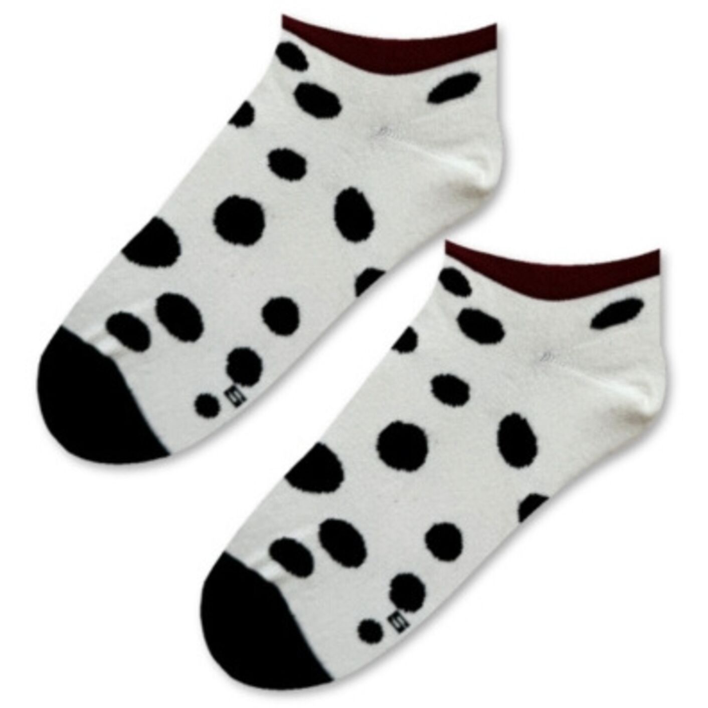 Stopki Dalmatyńczyk